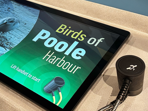 POOLE MUSEUM REOPENS